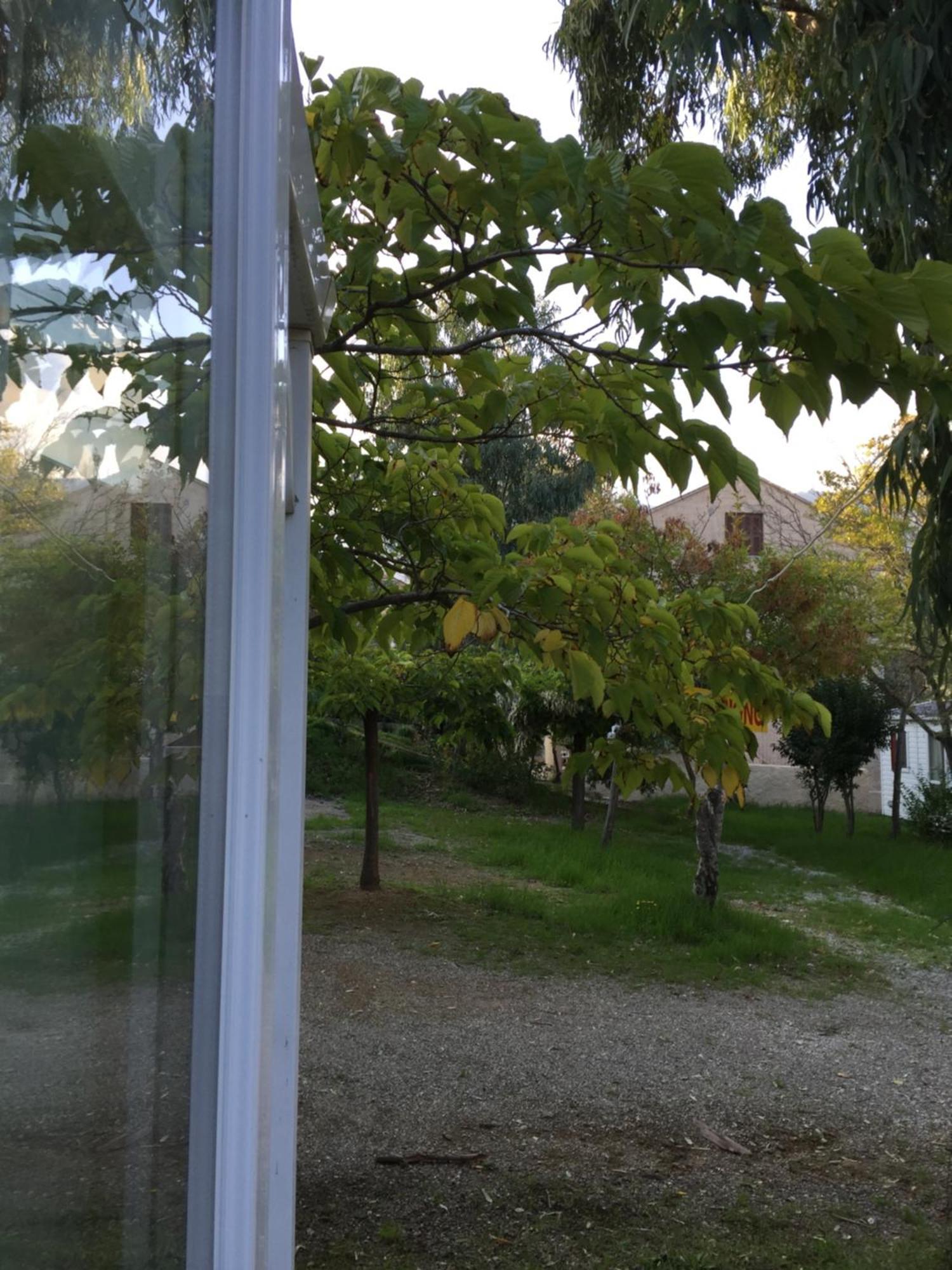 Camping les Orangers San-Martino-di-Lota Rom bilde